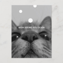 Postal de cara de gato negro y blanco