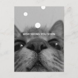 Postal de cara de gato negro y blanco