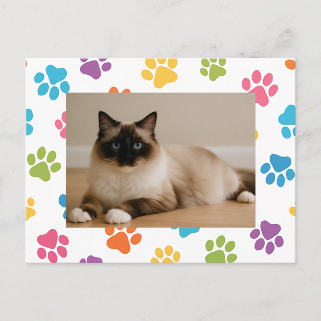 Postal de Cat Lover personalizado con foto (Anverso)