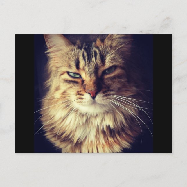 Postal de categoría superior para Postcross (Anverso)