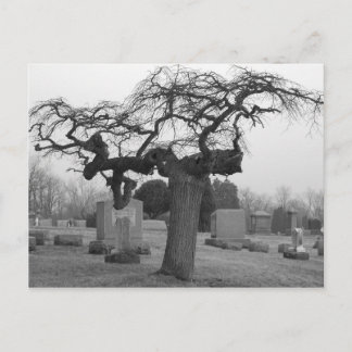Postal de cementerio