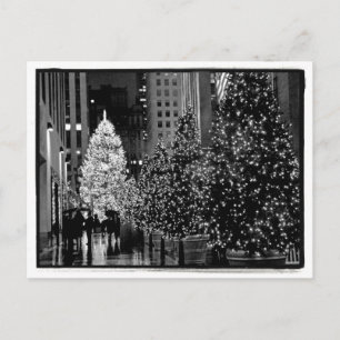 Postal de centro del árbol de navidad de