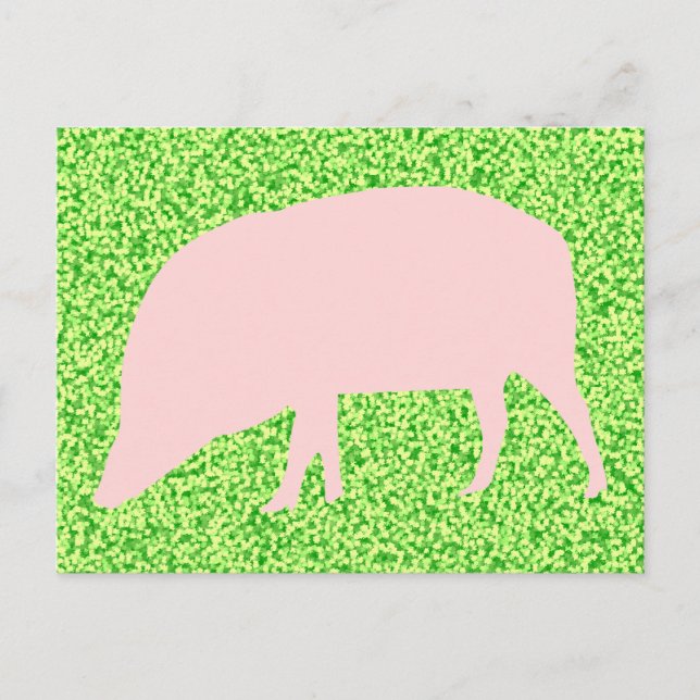 Postal de cerdo rosa (Anverso)