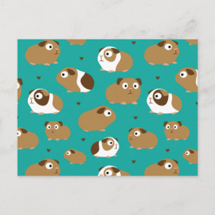 Postal de cerdos de Guinea Cuta