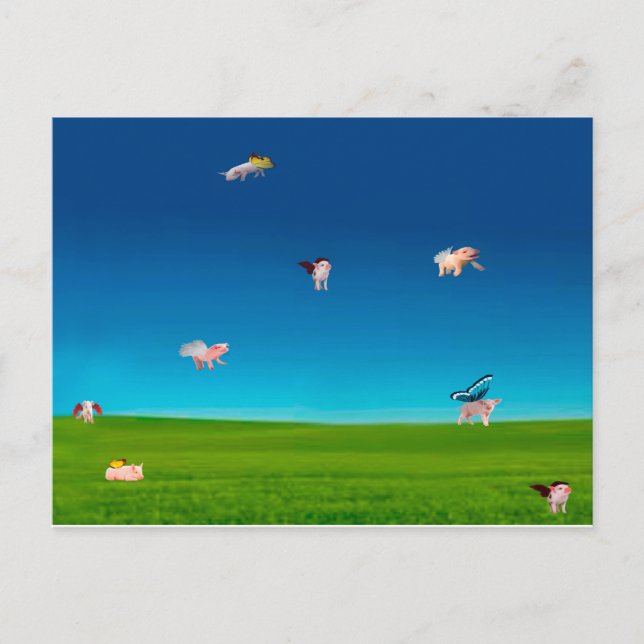 Postal de cerdos voladores (Anverso)