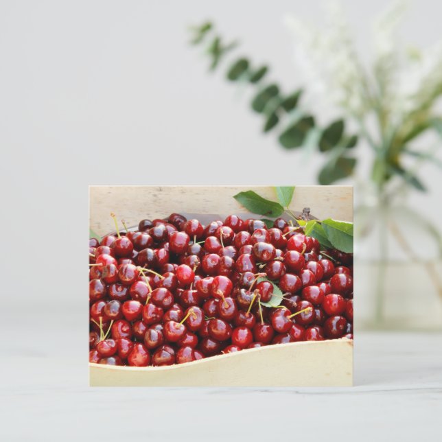 Postal de cerezas rojas (Anverso de pie)