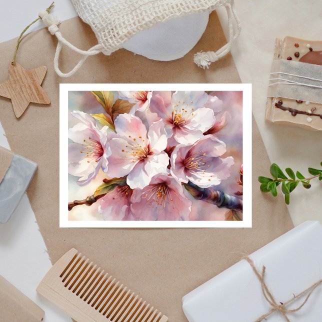 postal de cerezo Blossom (Subido por el creador)