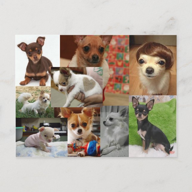 Postal de Chihuahua (Anverso)