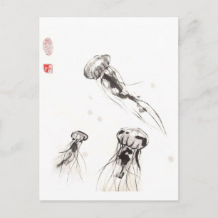Postal de Chrysaora Jellyfish