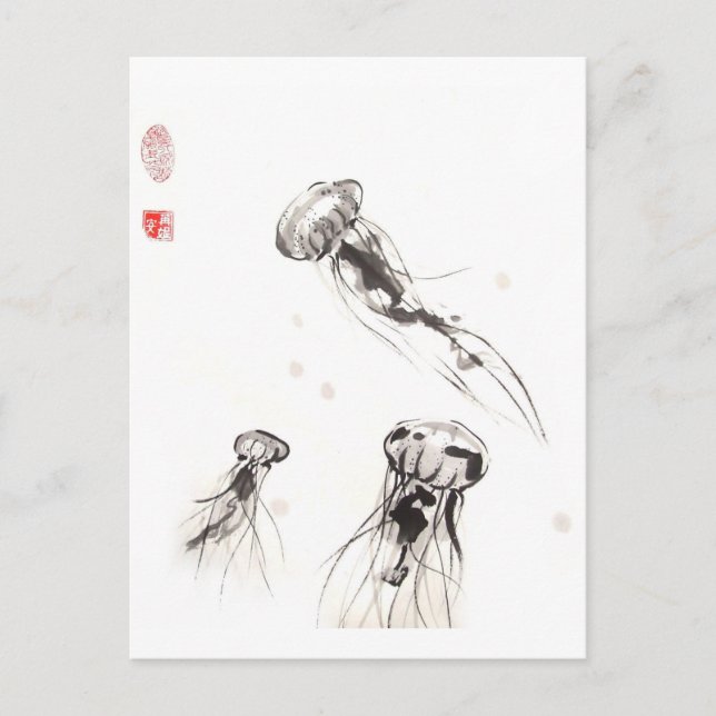 Postal de Chrysaora Jellyfish (Anverso)