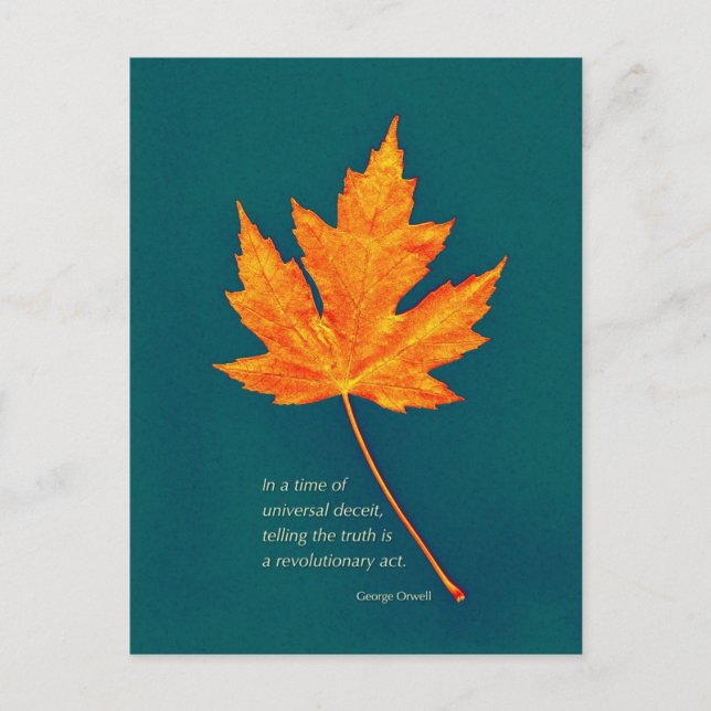 postal de cita de George Orwell (Anverso)