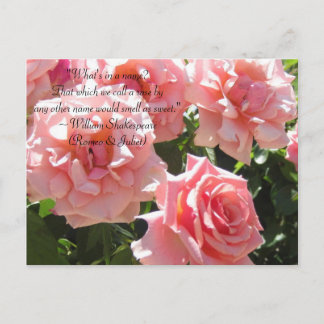 Postal de cita de Shakespeare rosa Roses