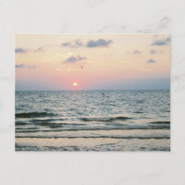 postal de Clearwater Beach Sunset