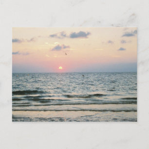 postal de Clearwater Beach Sunset