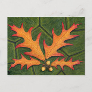 Postal de clúster de hoja de roble