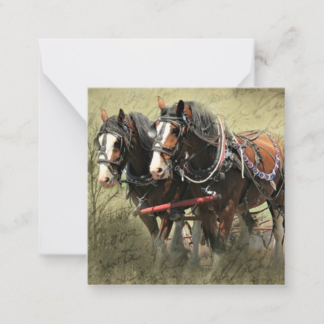 Postal de Clydesdale Weathered Vintage (Anverso)