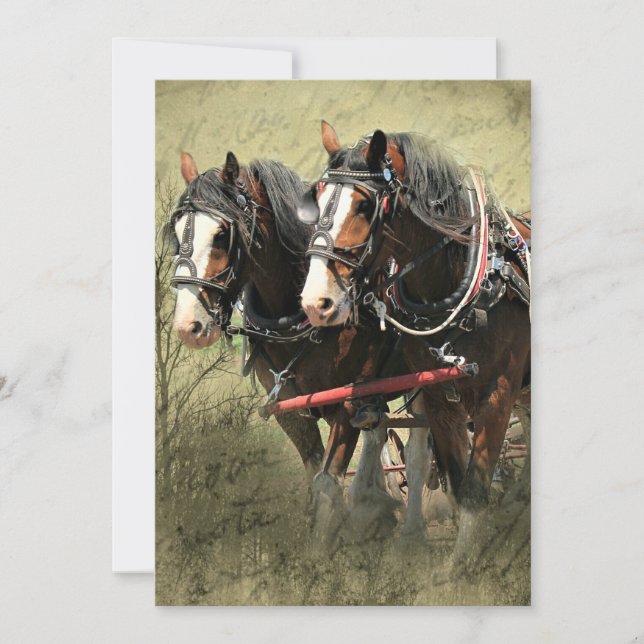 Postal de Clydesdale Weathered Vintage (Anverso)