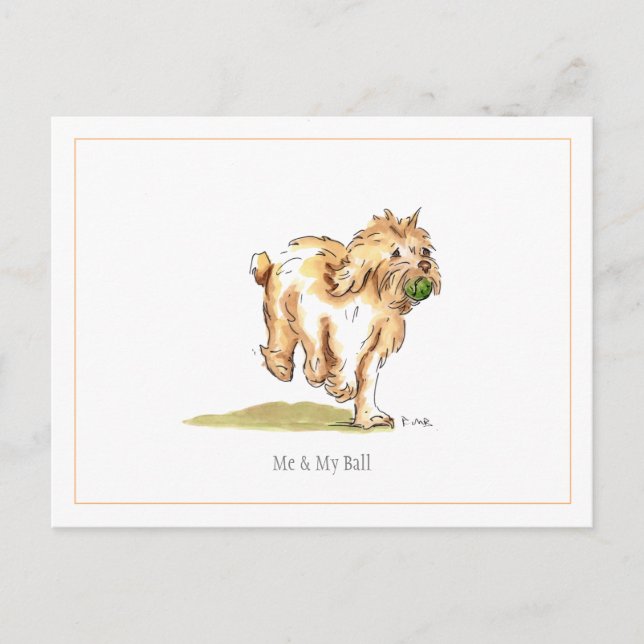 Postal de Cockapoo "Yo y mi pelota"
