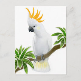 Postal de Cockatoo Crested de Citron