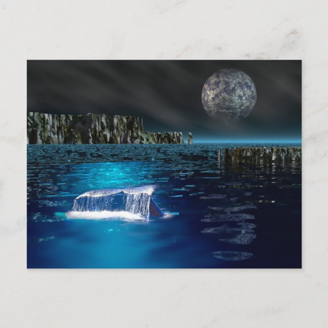 Postal de cola de ballena (Anverso)