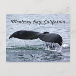 Postal de cola de ballena de Monterey Bay