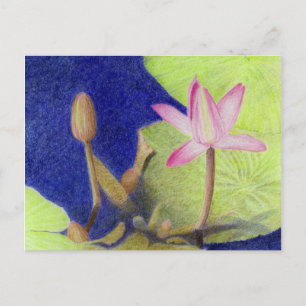 Postal de color rosa Lotus Waterlily