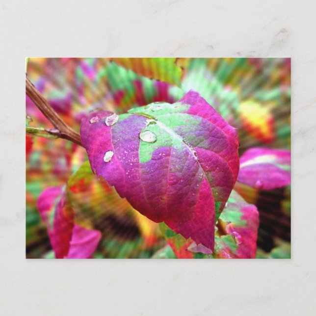 Postal de colores otoñales (Anverso)