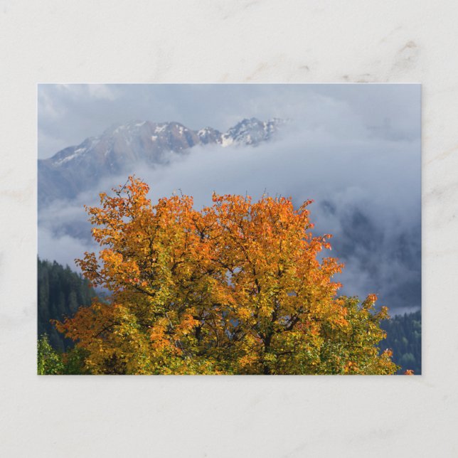 Postal de colores otoñales y montañas (Anverso)