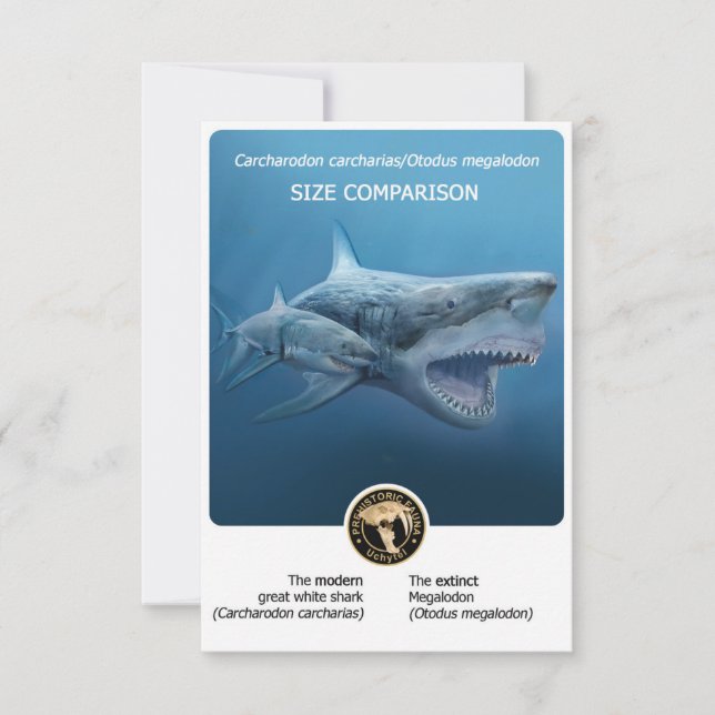 Postal de comparación de tamaño (Megalodon+tiburón (Anverso)