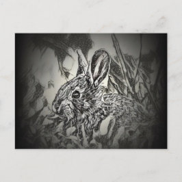Postal de conejo conejo conejo conejo conejo - Cri