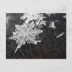 postal de copo de nieve