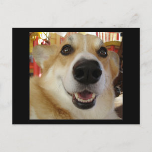 Postal de Corgi feliz