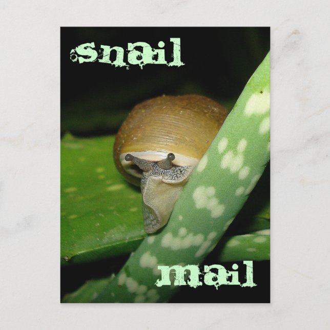 Postal de correo electrónico (Anverso)