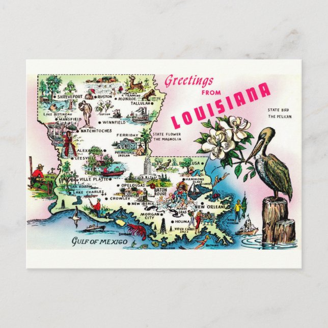Postal de cosecha de Louisiana Map (Anverso)