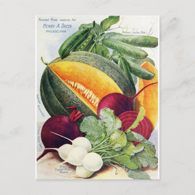 Postal de cosecha de melón con semilla de fruta (Anverso)