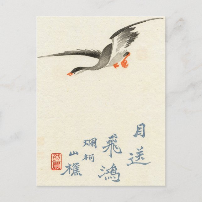 Postal de cosecha de pato japonés (Anverso)