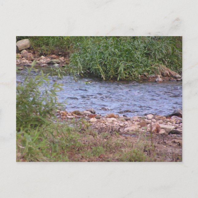 Postal de Creek Bubbling (Anverso)