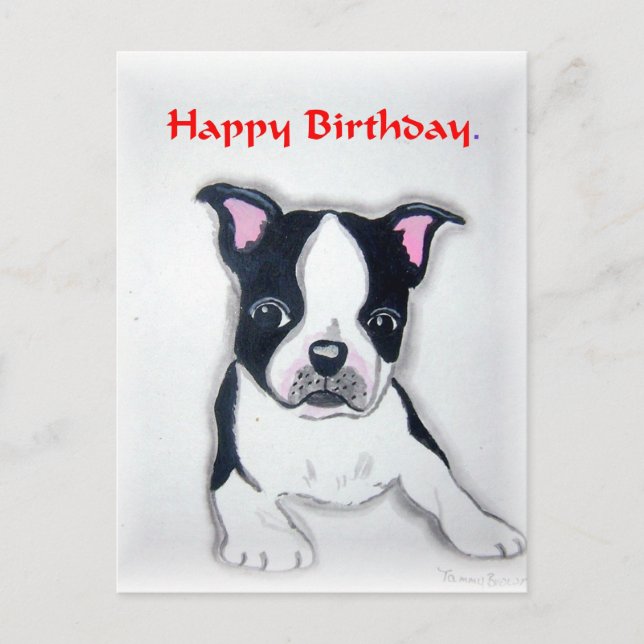 postal de cumpleaños de Boston Terrier (Anverso)