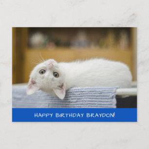 Postal de cumpleaños de gato blanco lindo
