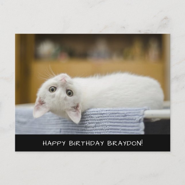 Postal de cumpleaños de gato blanco lindo (Anverso)