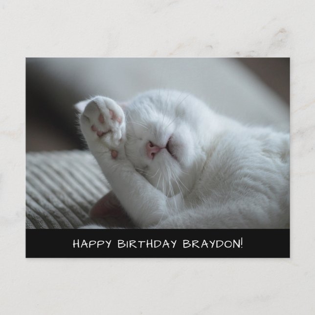 Postal de cumpleaños de gato blanco lindo (Anverso)