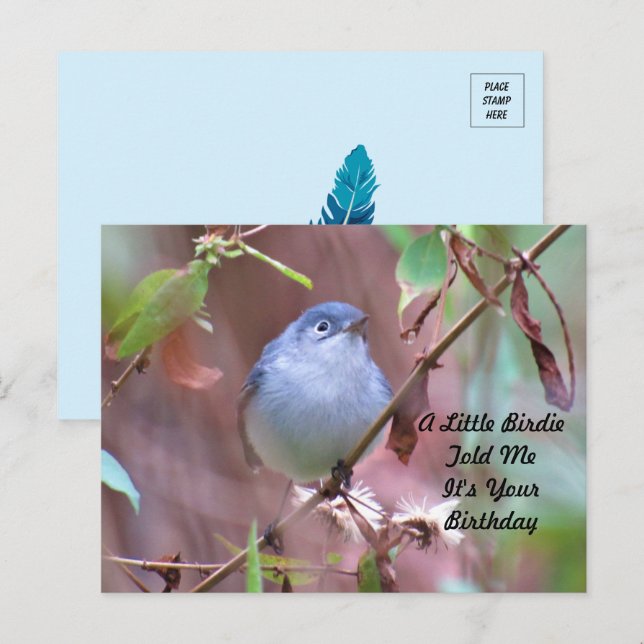 Postal de cumpleaños de Little Birdie (Anverso / Reverso)