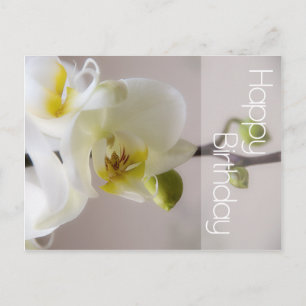 Postal de cumpleaños de Orquídea Blanca