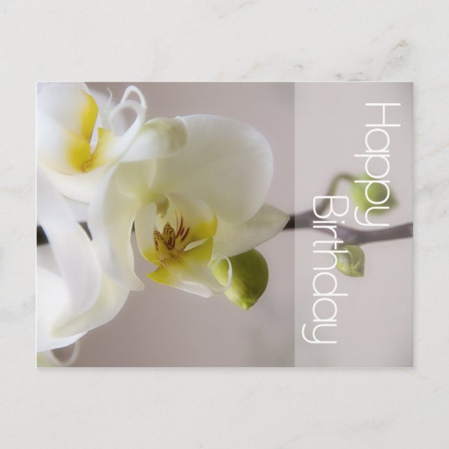 Postal de cumpleaños de Orquídea Blanca (Anverso)