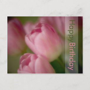 Postal de cumpleaños de Tulips rosados