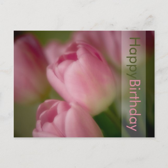Postal de cumpleaños de Tulips rosados (Anverso)