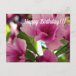 Postal de cumpleaños feliz
