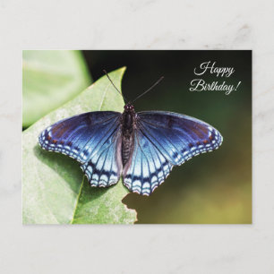 Postal de cumpleaños feliz de mariposa