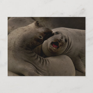 Postal de curva de sellos electrónicos