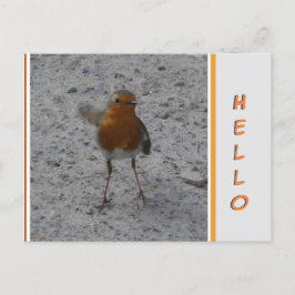 Postal de Cute Robin HELLO